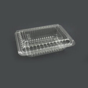 Food Container (H-3-B)