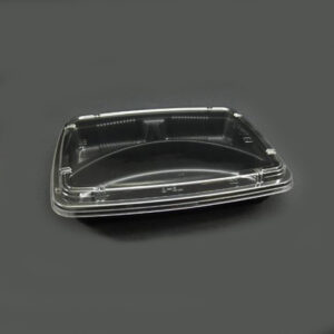 Lunch Box with Transparent Lid (LS-8)