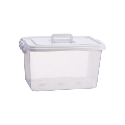 7665 Century Transparent Storage Box with Handle 18L
