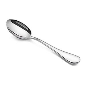 Stainless Steel Tea Spoon