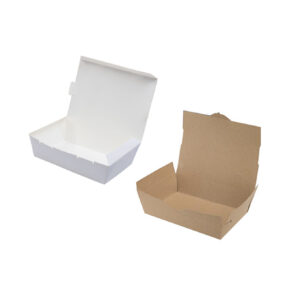 Plain Paper Disposable Lunch Box